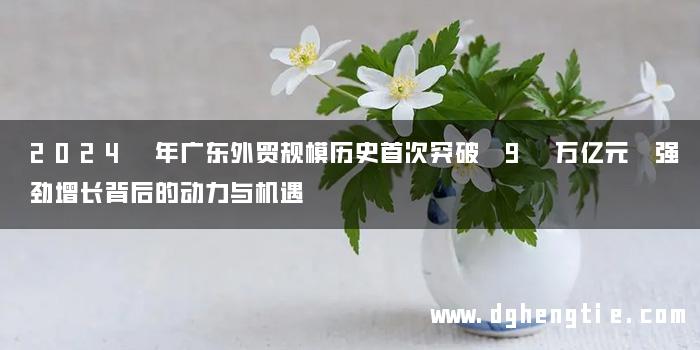 2024 年广东外贸规模历史首次突破 9 万亿元 强劲增长背后的动力与机遇